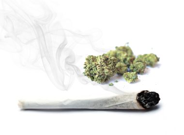 Cannabis and joint