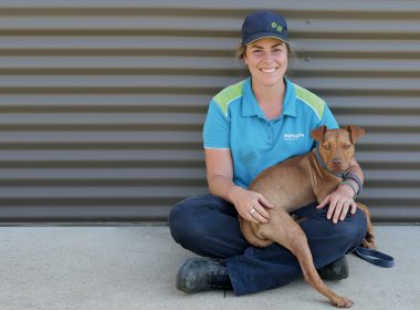 RSPCA Dog Rehabilitation Program