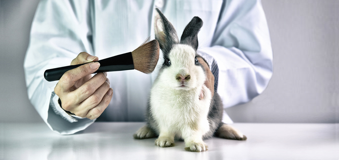 make up being put ona rabbit
