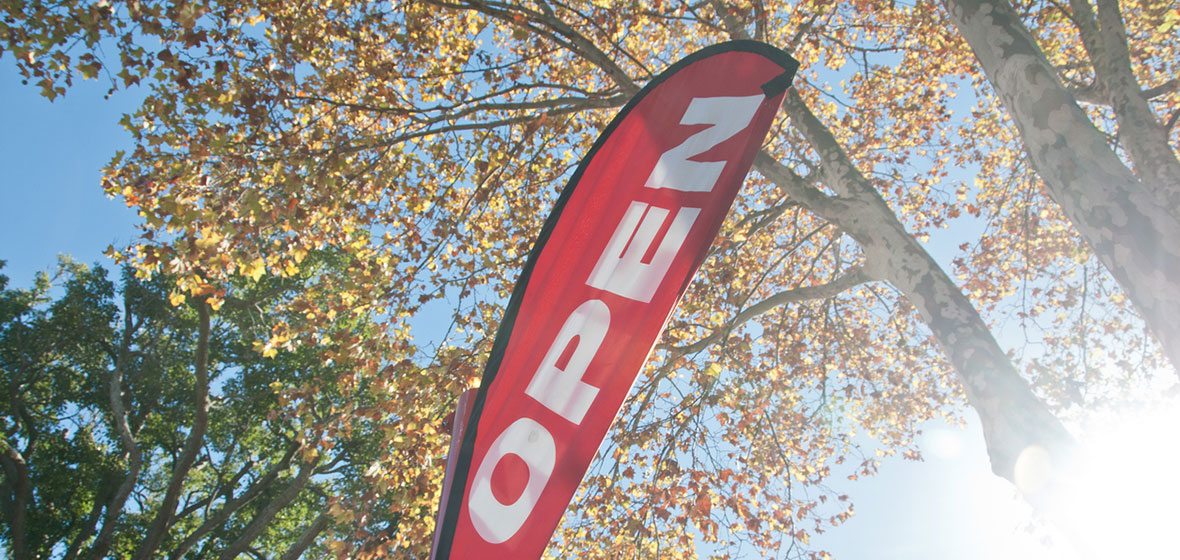 Open home flag