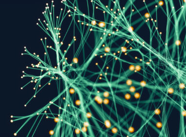 image of neural fibres to illustrate gorwth mindset
